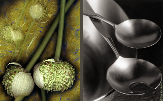Two photos that juxtapose a boatanical color photo of allium Sativum and a Black and White product photo of a wok by product photographer and botanical photographer Kim Kauffman.