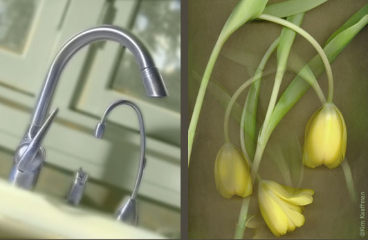 Two photographs that contemplate the similarities between a product photo of a sink faucet and a botanical  collage photograph of tulips.